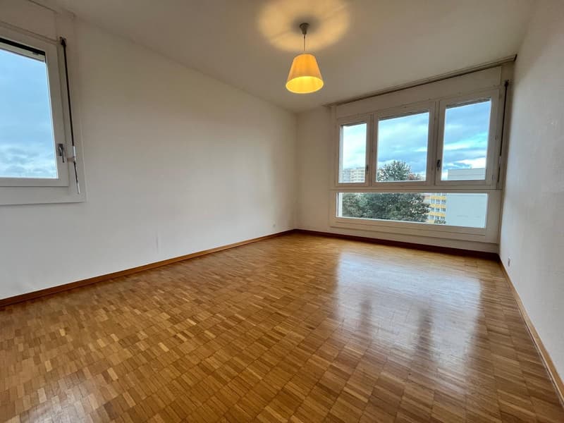 Appartement rénové de 4 chambres, 177 m² PPE, vue panoramique (Meyrin) (10)