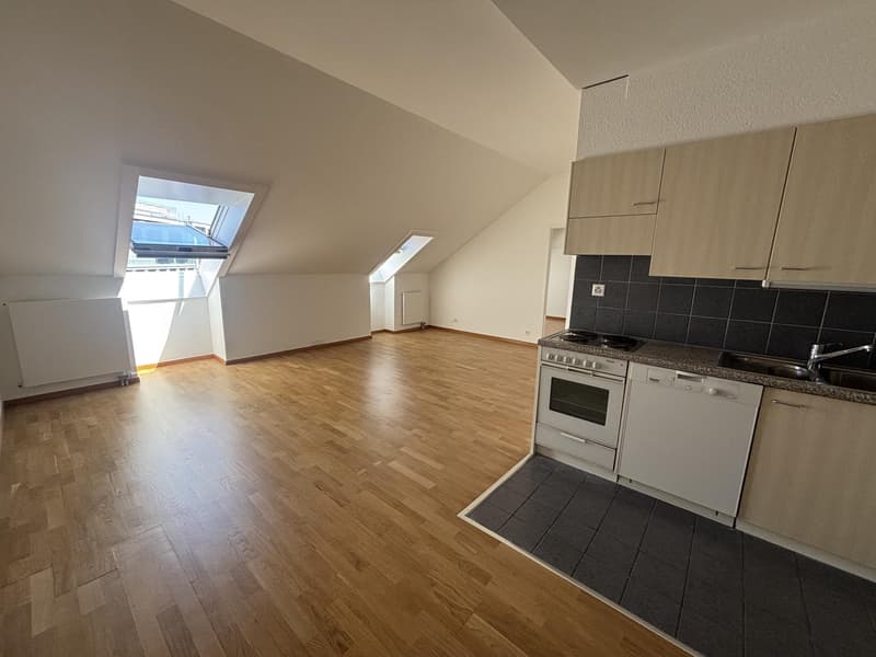 Appartement 2,5 pièces avec vue sur le jet d'eau - Carrefour de Rive (2)