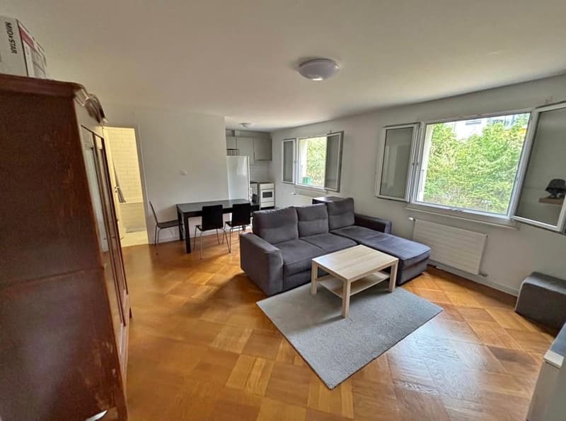 EXCLUSIVITE - Jolie 3 pièces à Chêne-Bourg (1)