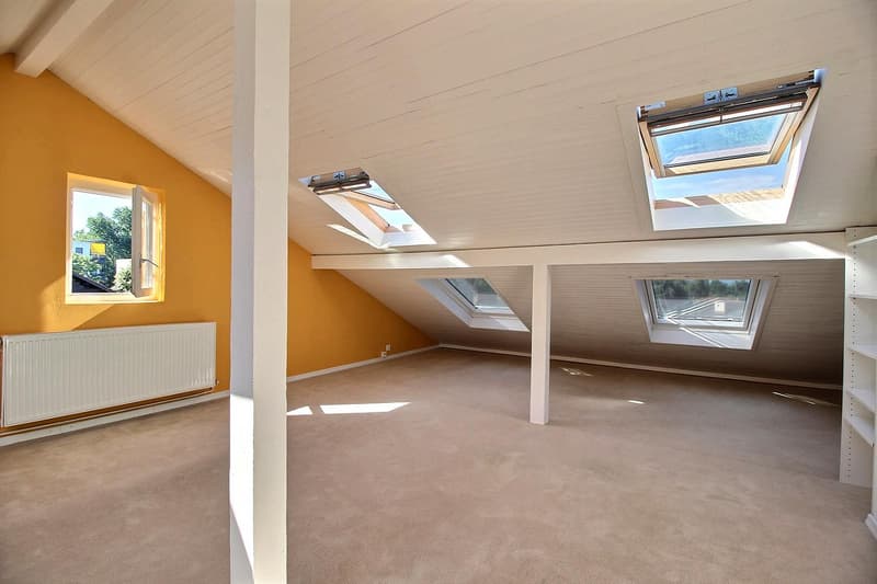 Villa mitoyenne avec jardin arboré, proche des organisations internationales (5)