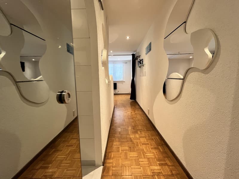 Pregny-Chambésy - 3 pièces meublé de 55 m² avec véranda et jardin - Calme absolu (7)