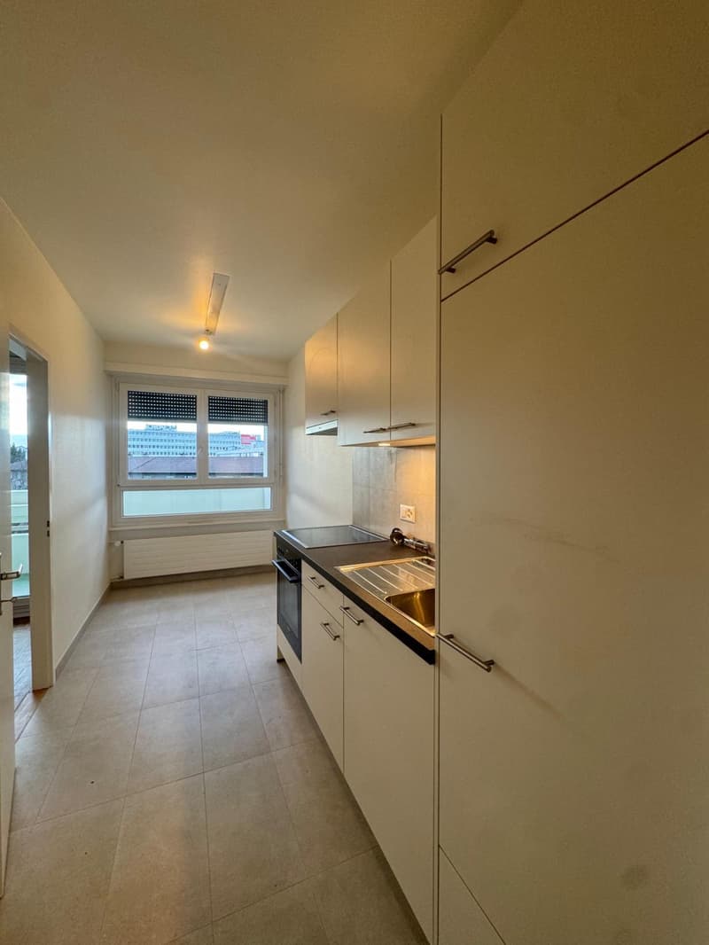 À louer ? 3,5 pièces meublé (option) à Carouge (7)