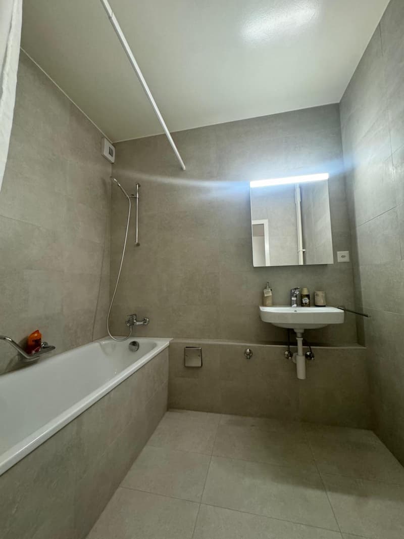 À louer ? 3,5 pièces meublé (option) à Carouge (5)