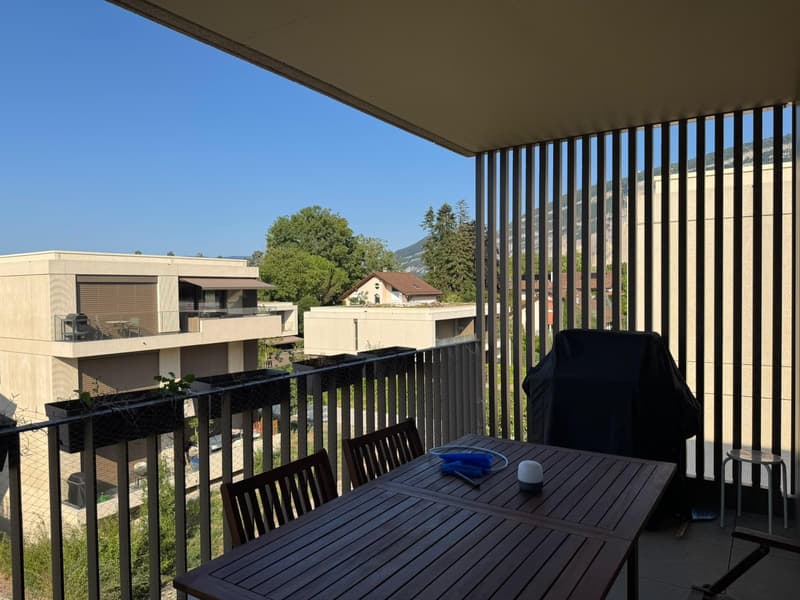 Très bel appartement 4 pièces à Troinex (1)