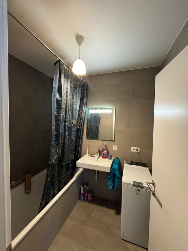 Très bel appartement 4 pièces à Troinex (8)