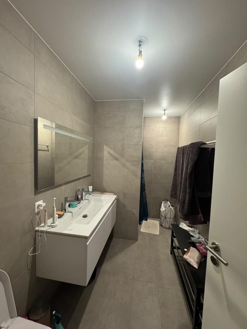Très bel appartement 4 pièces à Troinex (7)
