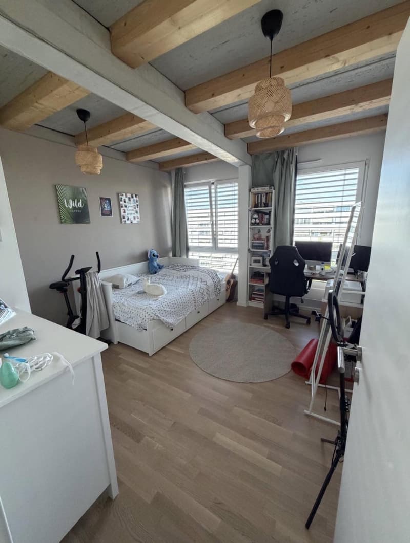 Appartement 3,5 pièces récent à Meyrin (7)