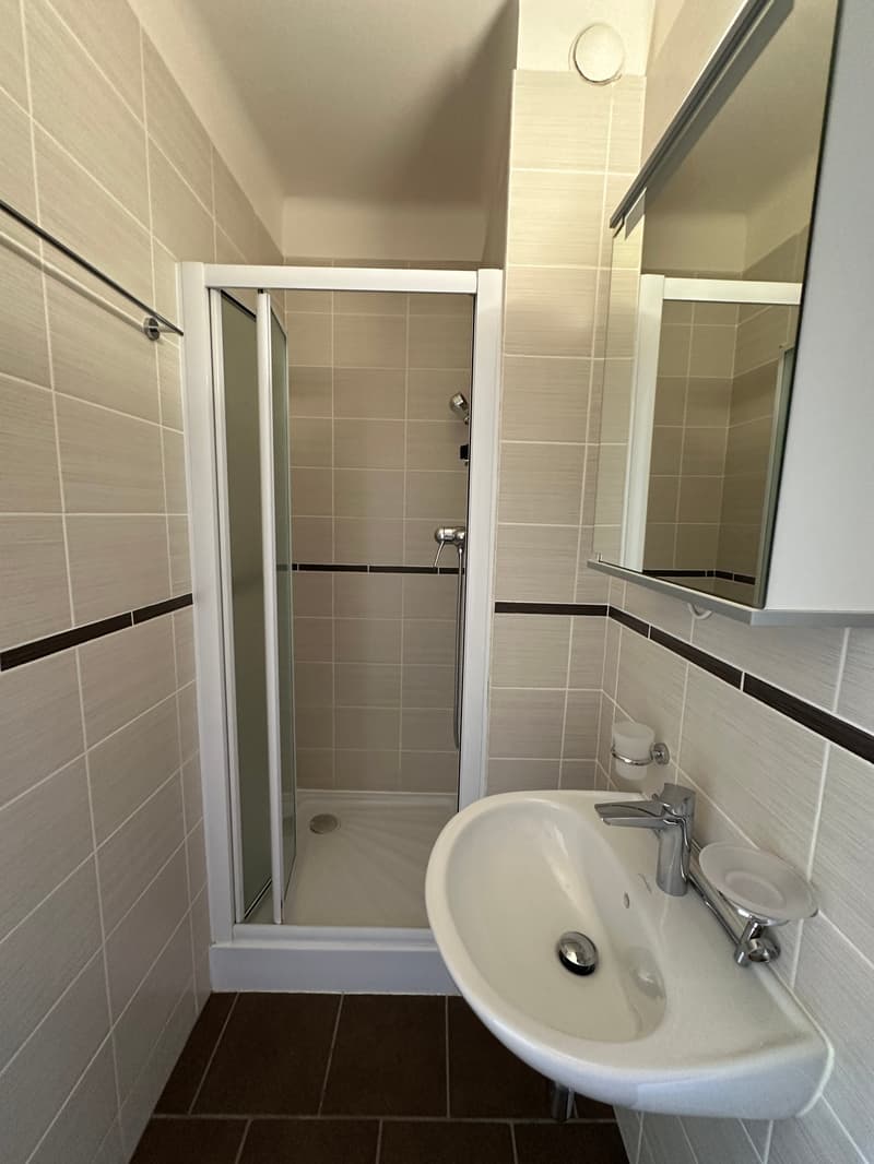 Nice appartment 3 bedrooms with swimming pool (13)
