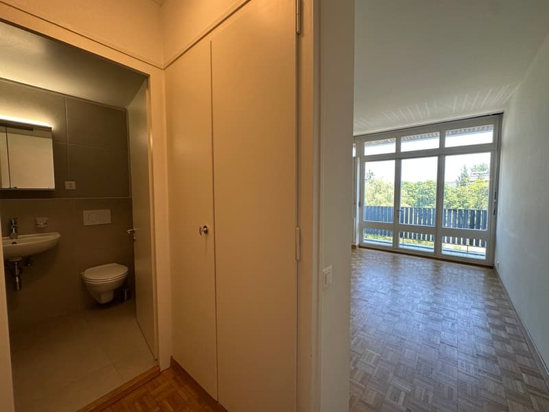 Nice appartment 3 bedrooms with swimming pool (9)
