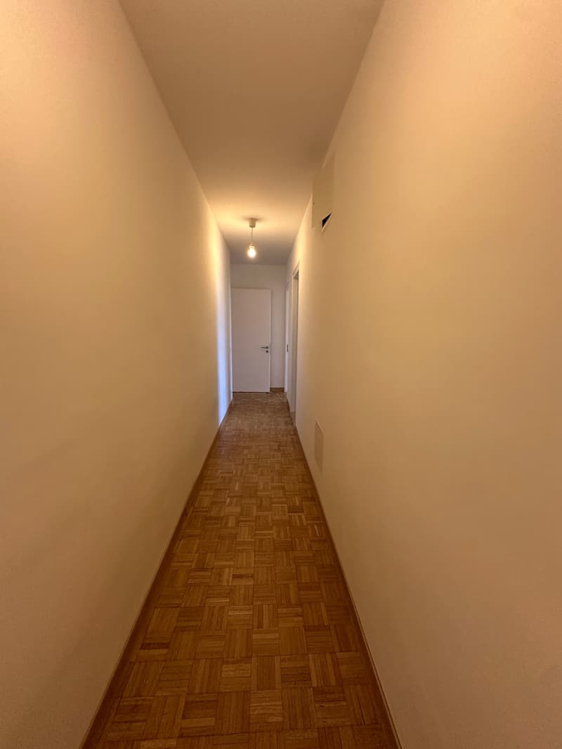 Nice appartment 3 bedrooms with swimming pool (15)
