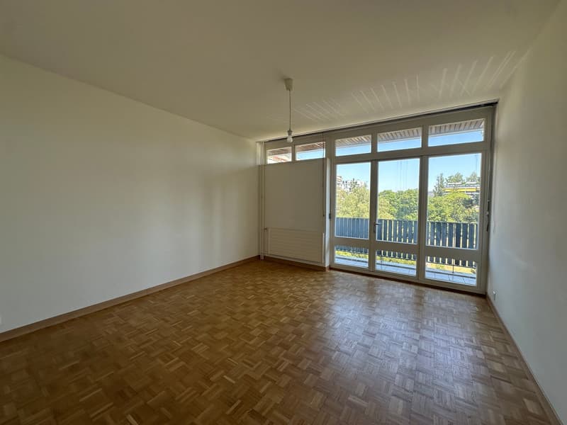 Nice appartment 3 bedrooms with swimming pool (12)