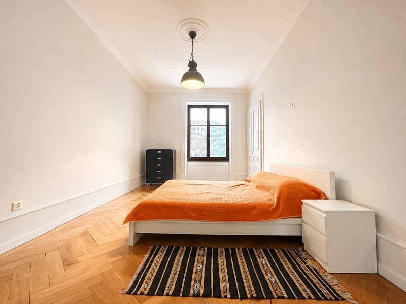 Appartement lumineux de 5.5 pièces à louer – Rue de Lausanne, Genève (5)