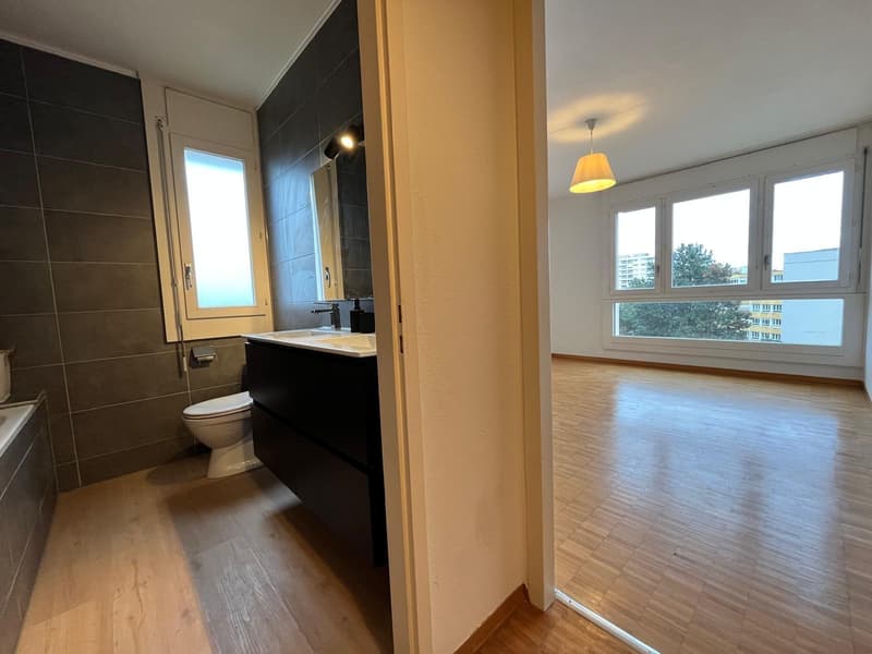 Appartement rénové de 4 chambres, 177 m² PPE, vue panoramique (Meyrin) (8)