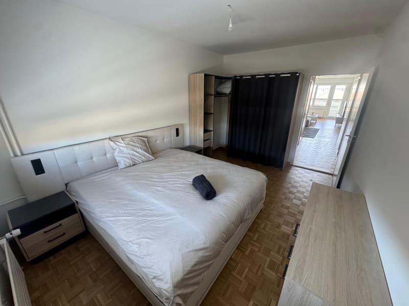 À louer ? 3,5 pièces meublé (option) à Carouge (4)