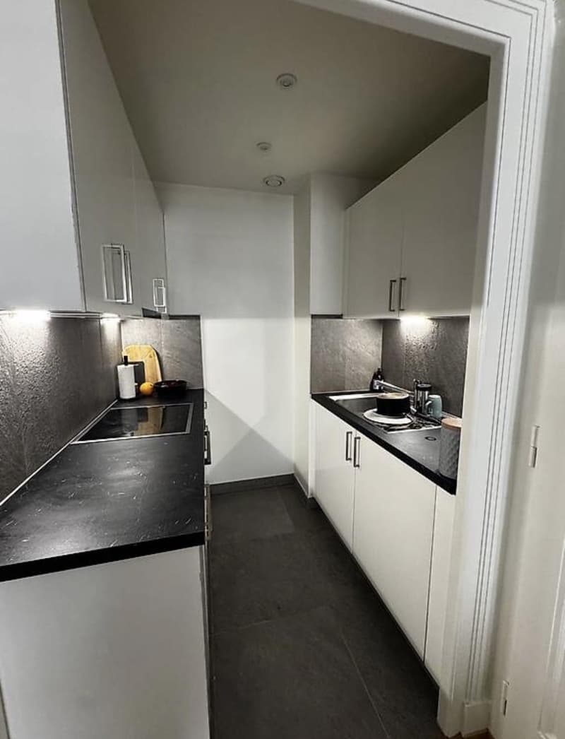 Bel appartement 3 pièces (4)