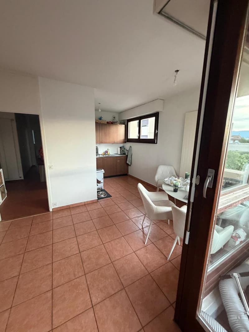 EXCLUSIVITÉ - Appartement 4 pièces situé dans le quartier de Carouge. (2)