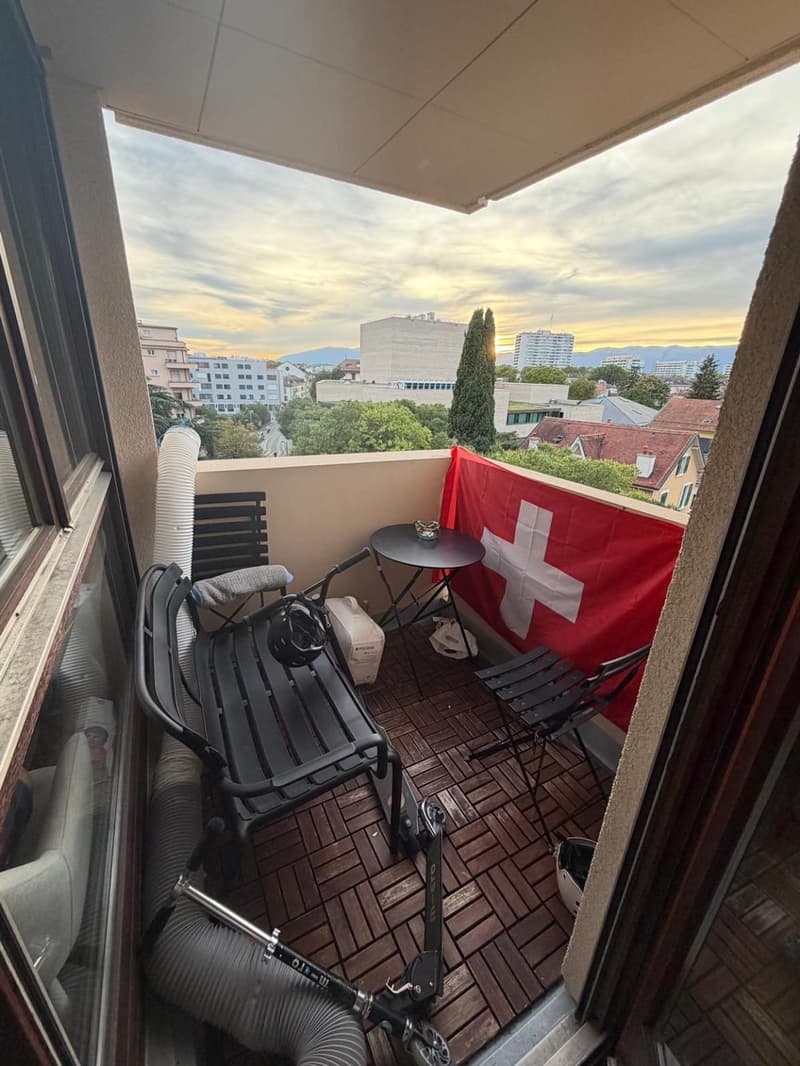 EXCLUSIVITÉ - Appartement 4 pièces situé dans le quartier de Carouge. (5)