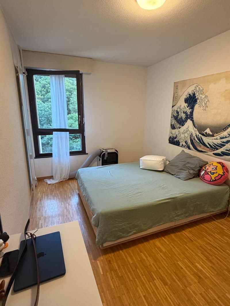 EXCLUSIVITÉ - Appartement 4 pièces situé dans le quartier de Carouge. (4)