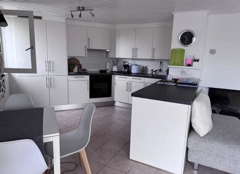 Appartement 4,5 pièces en attique situé dans le quartier de Saint-Gervais. (2)