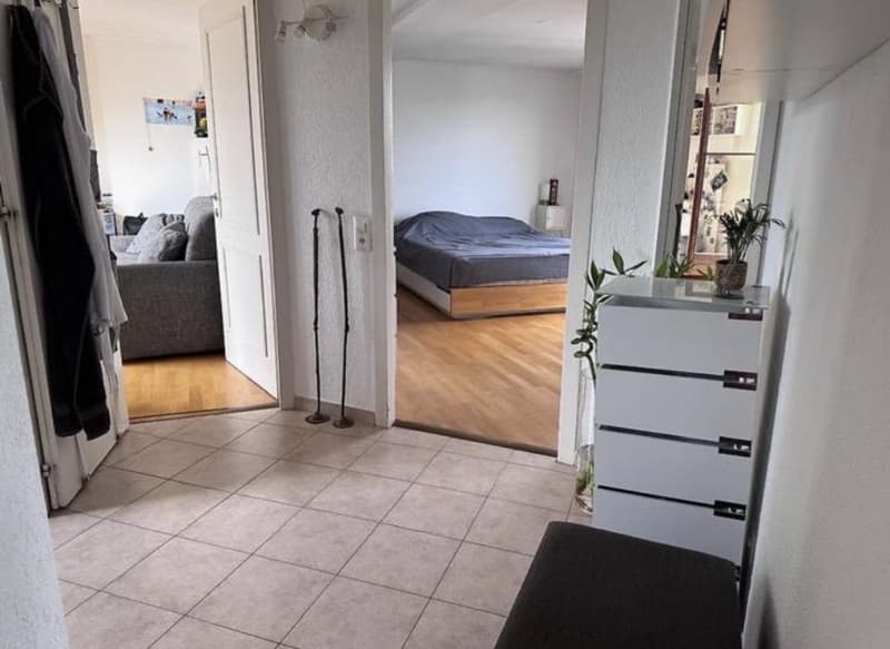 Appartement 4,5 pièces en attique situé dans le quartier de Saint-Gervais. (5)