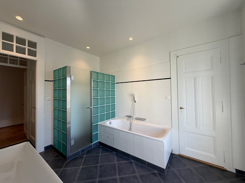 Spacieux appartement de 8 pièces à Genève - Champel (9)