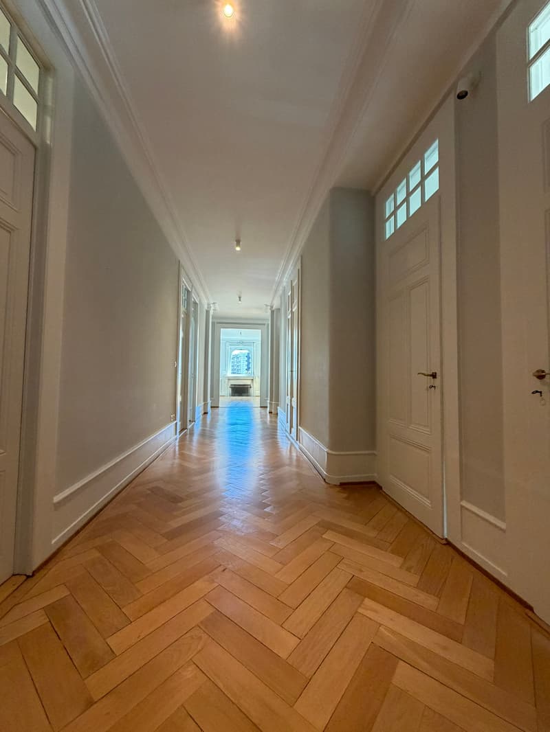 Spacieux appartement de 8 pièces à Genève - Champel (14)