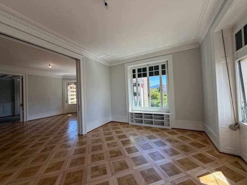 Spacieux appartement de 8 pièces à Genève - Champel (2)