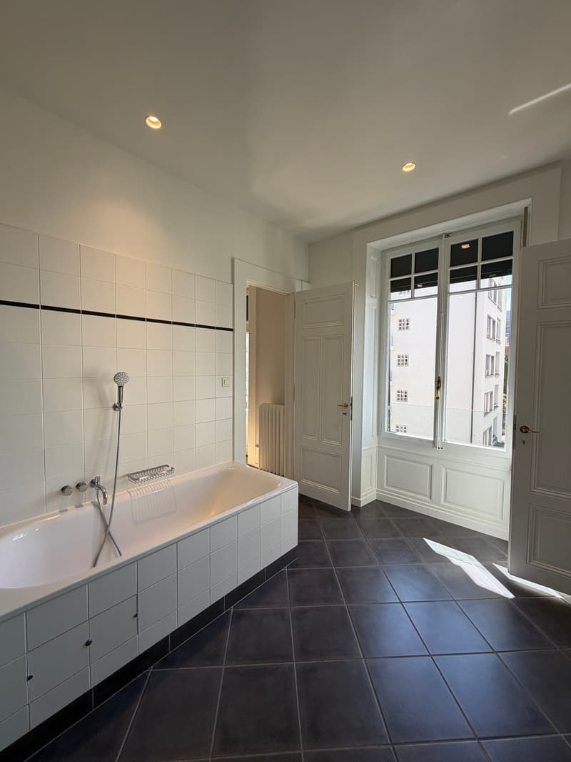 Spacieux appartement de 8 pièces à Genève - Champel (8)