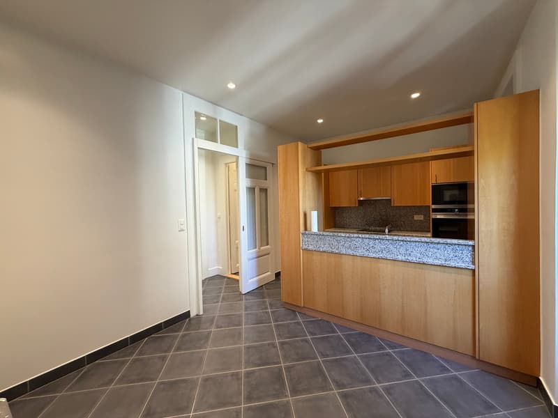 Spacieux appartement de 8 pièces à Genève - Champel (7)
