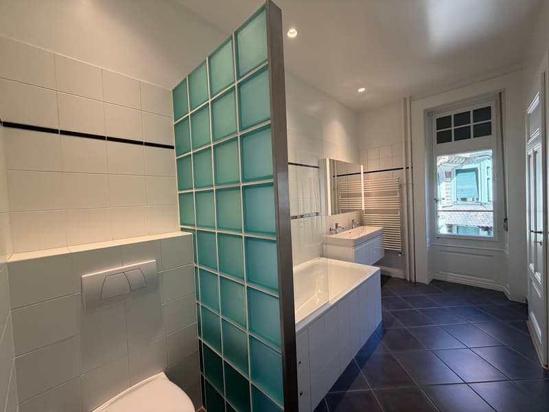 Spacieux appartement de 8 pièces à Genève - Champel (13)