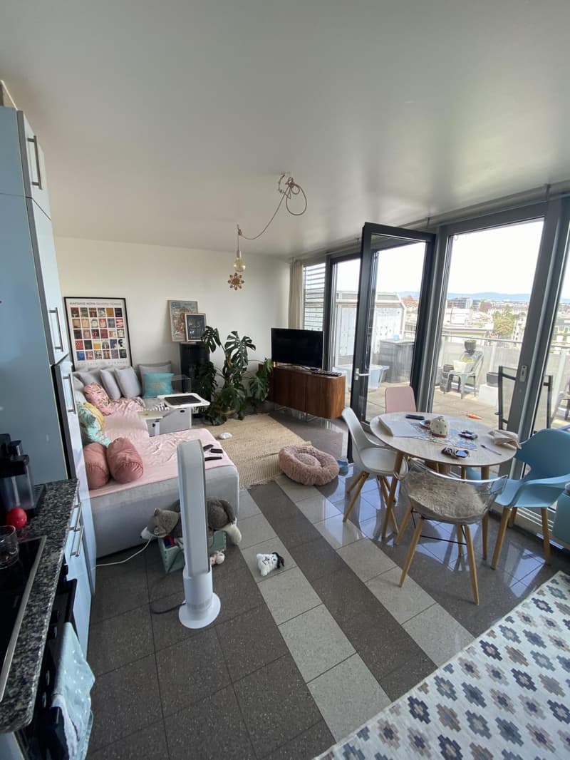 Superbe appartement 3 pièces avec terrasse (2)