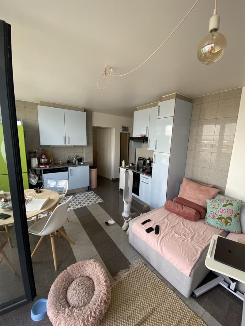 Superbe appartement 3 pièces avec terrasse (3)
