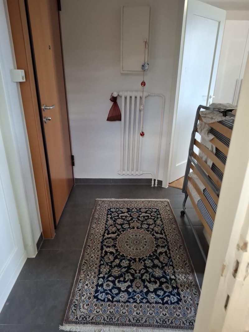 Appartement studio au coeur des Eaux-vives (2)