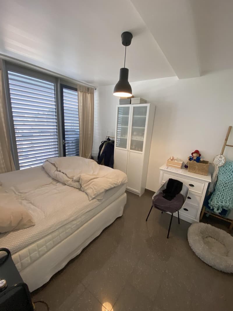 Superbe appartement 3 pièces avec terrasse (6)