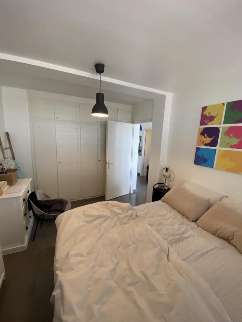 Superbe appartement 3 pièces avec terrasse (5)
