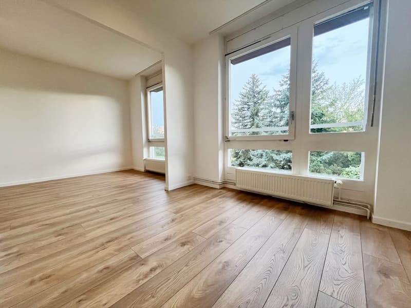 Villa mitoyenne avec jardin arboré, proche des organisations internationales (4)