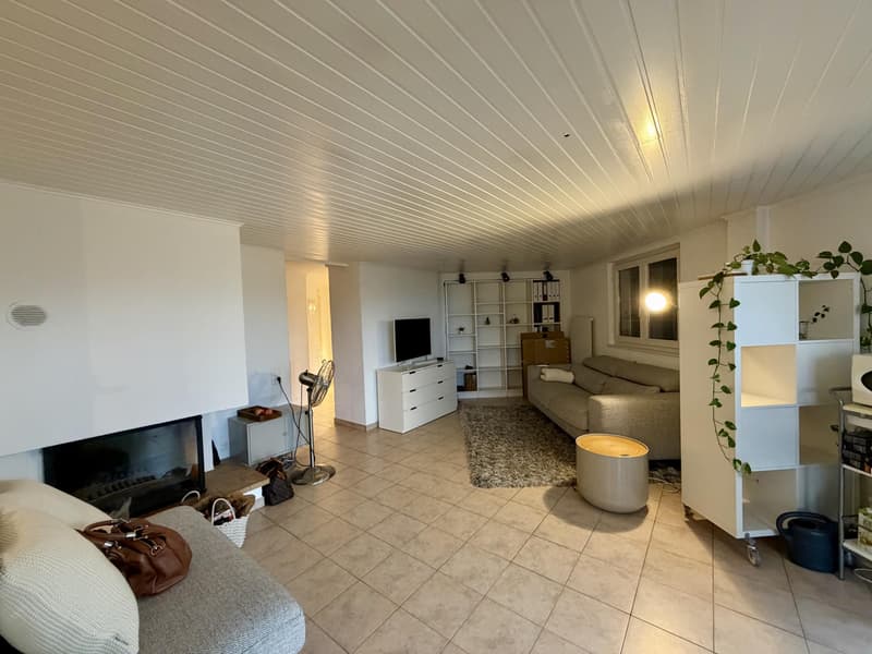 Appartement 4,5 pièces en attique situé dans le quartier de Saint-Gervais. (3)