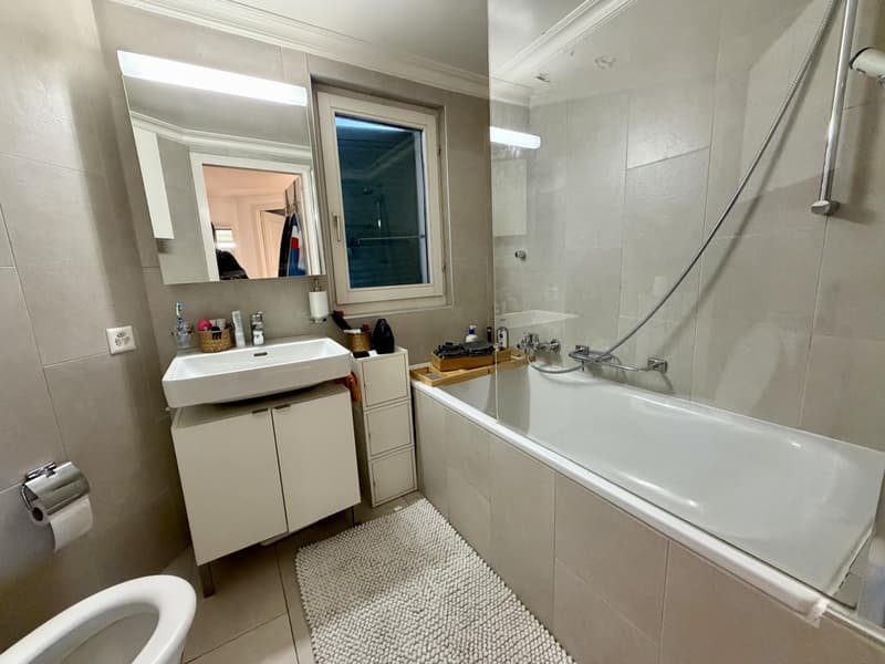 Appartement 4,5 pièces en attique situé dans le quartier de Saint-Gervais. (10)