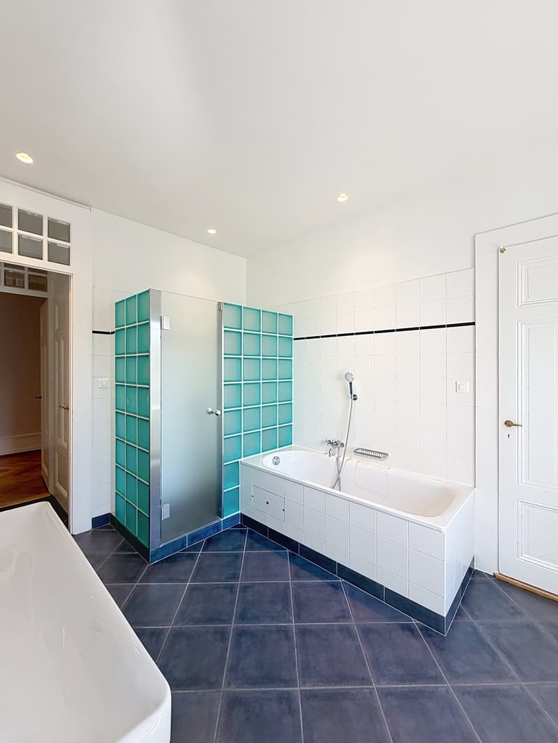 Spacieux appartement de 8 pièces à Genève - Champel (11)