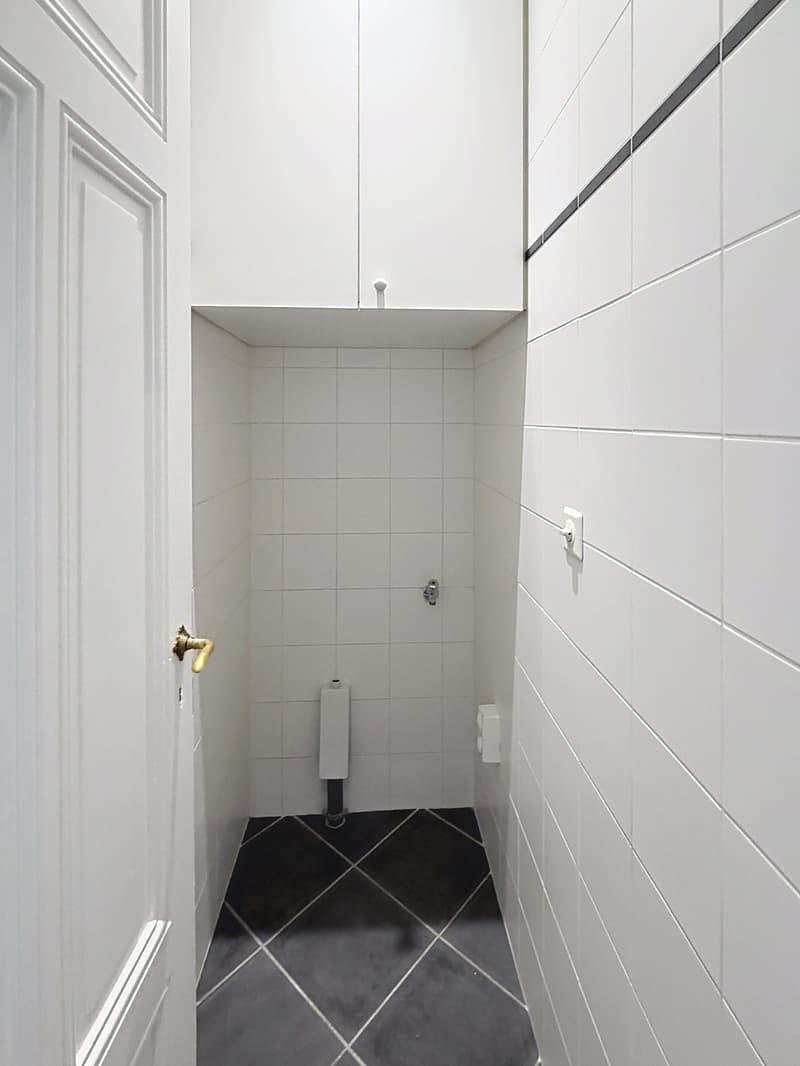 Spacieux appartement de 8 pièces à Genève - Champel (12)