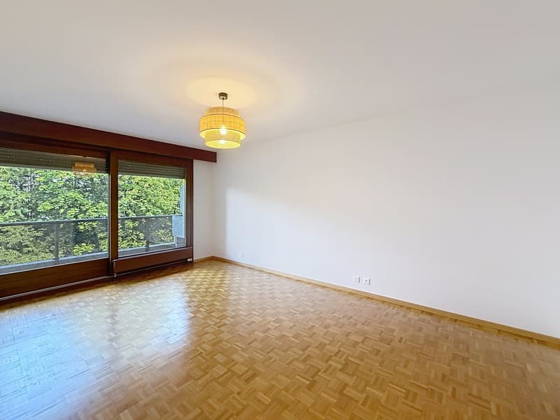 Spacious 5-Room Apartment with Indoor Pool Access in Florissant, Geneva (5)