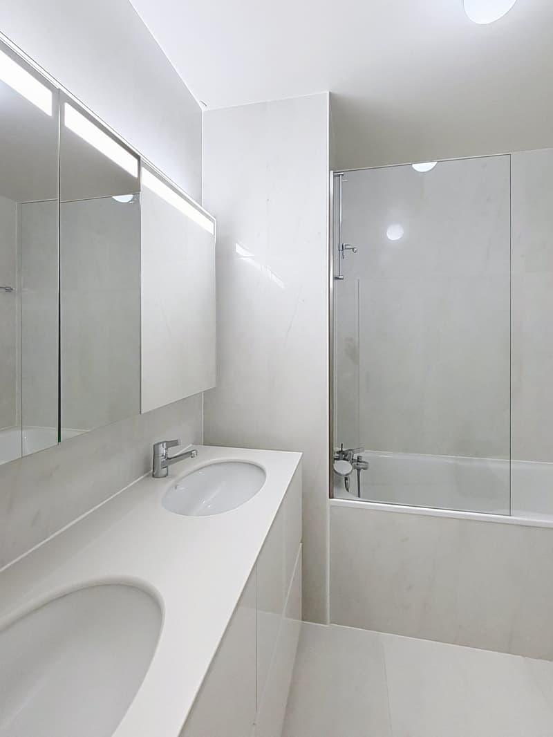 Spacious 5-Room Apartment with Indoor Pool Access in Florissant, Geneva (10)