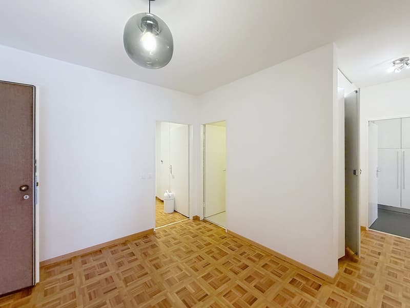 Spacious 5-Room Apartment with Indoor Pool Access in Florissant, Geneva (9)