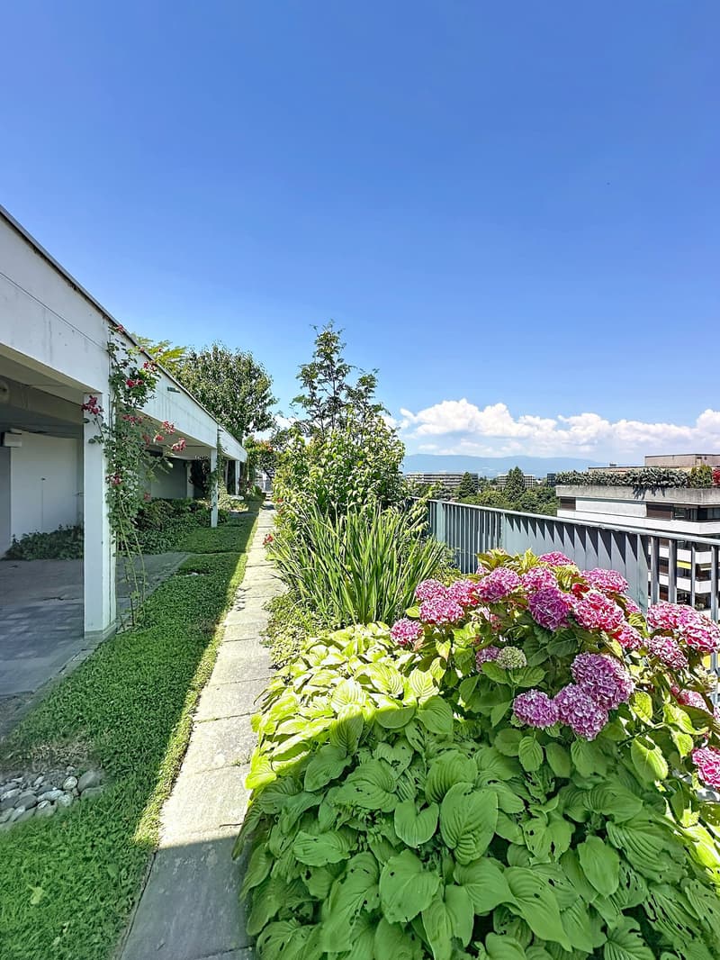 Nice appartment 3 bedrooms with swimming pool (14)