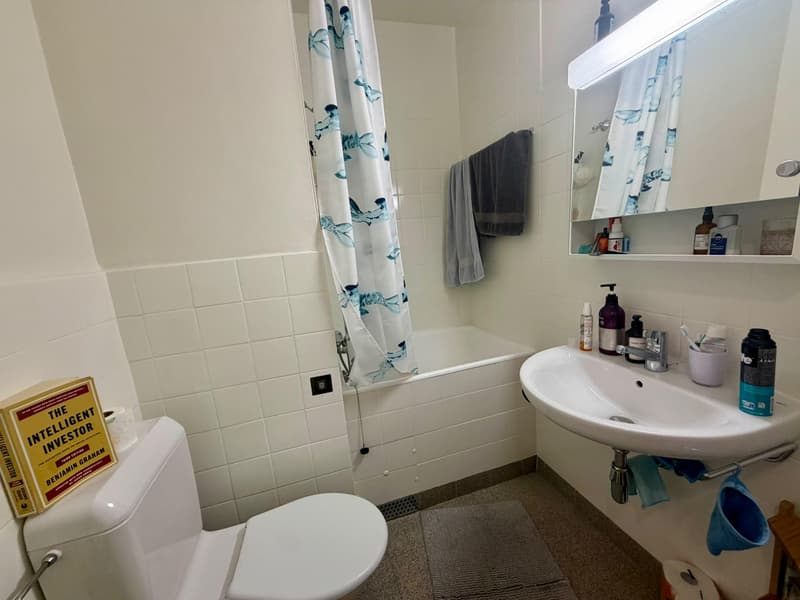 Charmant appartement 1,5 pièces au coeur de la Vieille-Ville de Genève (4)