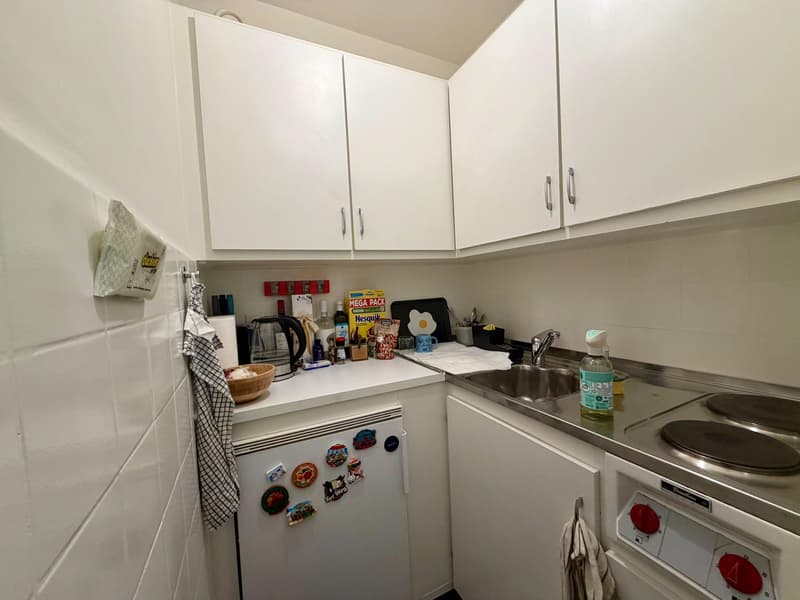 Charmant appartement 1,5 pièces au coeur de la Vieille-Ville de Genève (3)