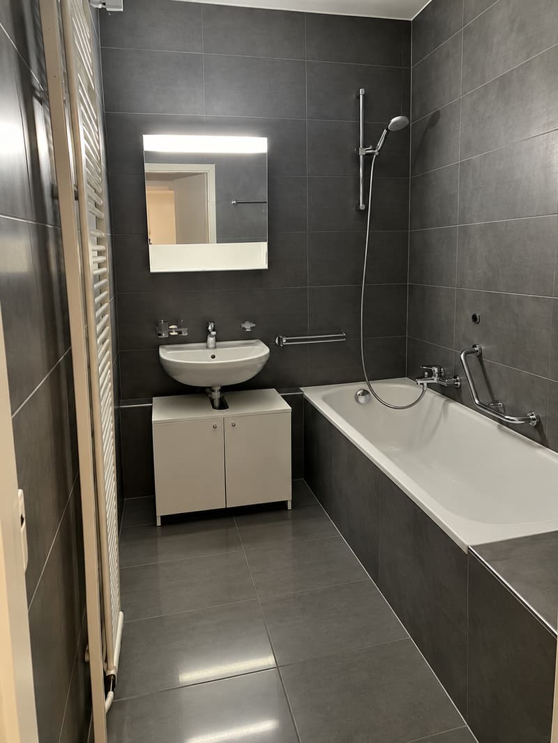 Bel appartement 3 pièces ? Au coeur de Plainpalais (4)