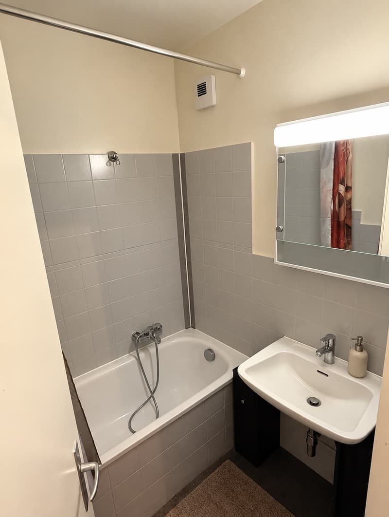 Appartement 4 pièces à Châtelaine (5)