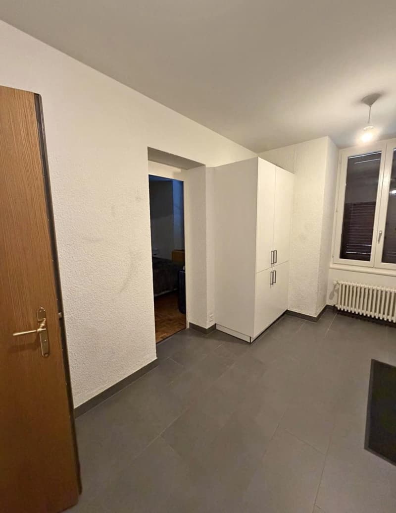 Appartement 2 pièces aux Eaux-vives (4)