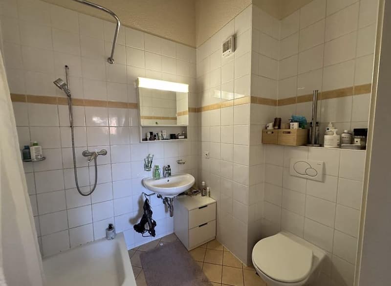 Bel appartement 4 pièces (4)